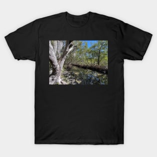 Mangroves and Stream T-Shirt